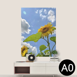 |XebJ[ |X^[ EH[XebJ[ V[XebJ[  841mm×1189mm A0 ʐ^ tHg  CeA   wall sticker poster 011366 ԁ@Ђ܂@ʐ^