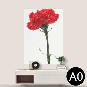 |XebJ[ |X^[ EH[XebJ[ V[XebJ[  841mm×1189mm A0 ʐ^ tHg  CeA   wall sticker poster 012928 ̓@J[l[V@