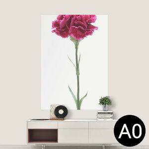 |XebJ[ |X^[ EH[XebJ[ V[XebJ[  841mm×1189mm A0 ʐ^ tHg  CeA   wall sticker poster 012933 ̓@J[l[V@