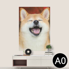 楽天市場 柴犬 ウォールステッカー 壁紙 装飾フィルム インテリア 寝具 収納の通販