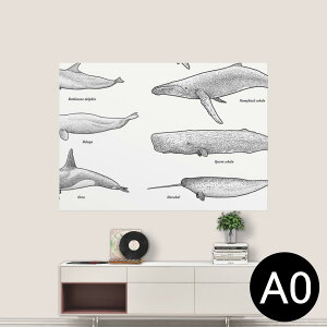 |XebJ[ |X^[ EH[XebJ[ V[XebJ[  841mm×1189mm A0 ʐ^ tHg  CeA   wall sticker poster 015815 @NW@V`