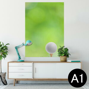 |X^[ EH[XebJ[ V[XebJ[  594×841mm A1 ʐ^ tHg  CeA  wall sticker poster 000218 St@Vbg@Ő