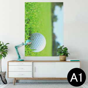 |X^[ EH[XebJ[ V[XebJ[  594×841mm A1 ʐ^ tHg  CeA  wall sticker poster 000255 St@Ő@X|[c