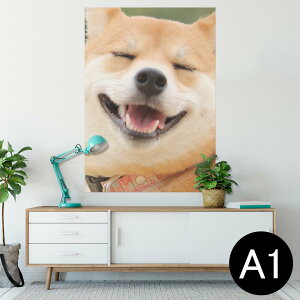 |X^[ EH[XebJ[ V[XebJ[  594×841mm A1 ʐ^ tHg  CeA  wall sticker poster 000926 @Č