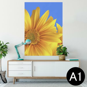 |X^[ EH[XebJ[ V[XebJ[  594×841mm A1 ʐ^ tHg  CeA  wall sticker poster 001397 Ђ܂