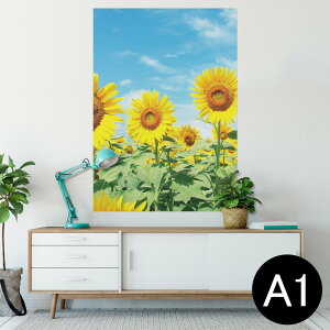 |X^[ EH[XebJ[ V[XebJ[  594×841mm A1 ʐ^ tHg  CeA  wall sticker poster 002501 ԁ@Ђ܂@ʐ^