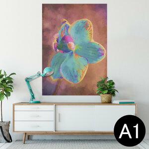 |X^[ EH[XebJ[ V[XebJ[  594×841mm A1 ʐ^ tHg  CeA  wall sticker poster 022899 ԁ@Jt@G@yCg