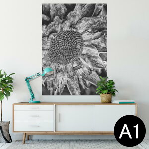 |X^[ EH[XebJ[ V[XebJ[  594×841mm A1 ʐ^ tHg  CeA  wall sticker poster 022990 Ђ܂@ԁ@mN