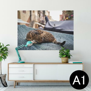 |X^[ EH[XebJ[ V[XebJ[  594×841mm A1 ʐ^ tHg  CeA  wall sticker poster 023084 L@˂@@i@ʐ^