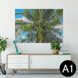 |X^[ EH[XebJ[ V[XebJ[  594×841mm A1 ʐ^ tHg  CeA  wall sticker poster 023141 V̖؁@ā@R