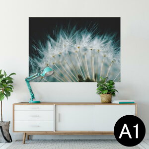 �|�X�^�[ �E�H�[���X�e�b�J�[ �V�[�����X�e�b�J�[ ���� 594×841mm A1 �ʐ^ �t�H�g �� �C���e���A ������� ��������wall sticker poster 023193 ����ۂہ@�Ȗс@�ʐ^