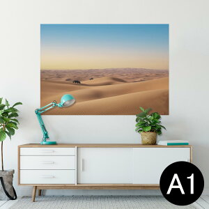 |X^[ EH[XebJ[ V[XebJ[  594×841mm A1 ʐ^ tHg  CeA  wall sticker poster 023203 @ʐ^