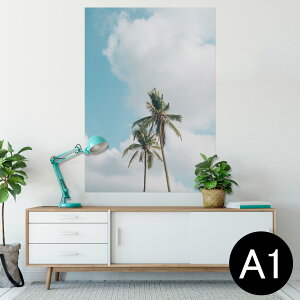 |X^[ EH[XebJ[ V[XebJ[  594×841mm A1 ʐ^ tHg  CeA  wall sticker poster 023646 V̖؁@ā@