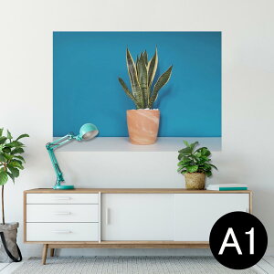 |X^[ EH[XebJ[ V[XebJ[  594×841mm A1 ʐ^ tHg  CeA  wall sticker poster 023685 A@A