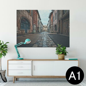 |X^[ EH[XebJ[ V[XebJ[  594×841mm A1 ʐ^ tHg  CeA  wall sticker poster 023731 X݁@i