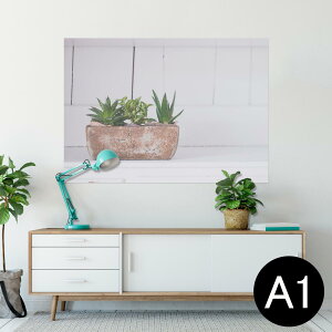 |X^[ EH[XebJ[ V[XebJ[  594×841mm A1 ʐ^ tHg  CeA  wall sticker poster 023734 A@Aؔ@ʐ^