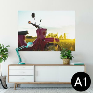 |X^[ EH[XebJ[ V[XebJ[  594×841mm A1 ʐ^ tHg  CeA  wall sticker poster 023763 oCN@ʐ^