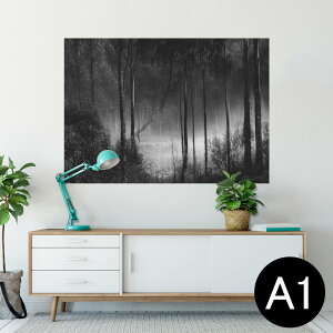 |X^[ EH[XebJ[ V[XebJ[  594×841mm A1 ʐ^ tHg  CeA  wall sticker poster 025587 Xс@mN@