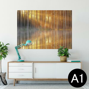 |X^[ EH[XebJ[ V[XebJ[  594×841mm A1 ʐ^ tHg  CeA  wall sticker poster 025679 Xс@R@