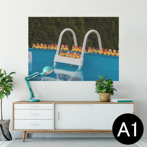 |X^[ EH[XebJ[ V[XebJ[  594×841mm A1 ʐ^ tHg  CeA  wall sticker poster 025719 v[@Ђ@