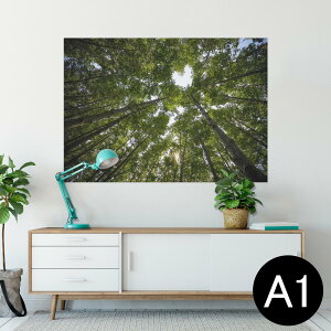 |X^[ EH[XebJ[ V[XebJ[  594×841mm A1 ʐ^ tHg  CeA  wall sticker poster 025739 R@Xс@؁@n[g