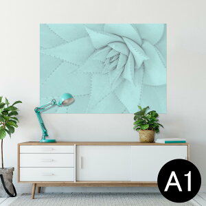 |X^[ EH[XebJ[ V[XebJ[  594×841mm A1 ʐ^ tHg  CeA  wall sticker poster 025929 A@AG