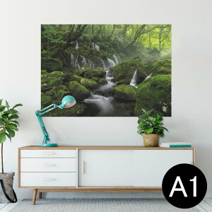 |X^[ EH[XebJ[ V[XebJ[  594×841mm A1 ʐ^ tHg  CeA  wall sticker poster 025978 Xс@@R@