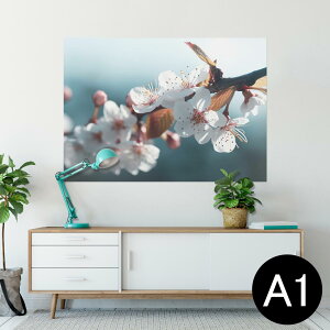 TCYIׂI|X^[ EH[XebJ[ V[XebJ[  A0 A1 A2 A3 A4 A5 B0 B1 B2 B3 B4 B5 ʐ^ tHg  CeA  wall sticker poster 033401 A[g  C  flower