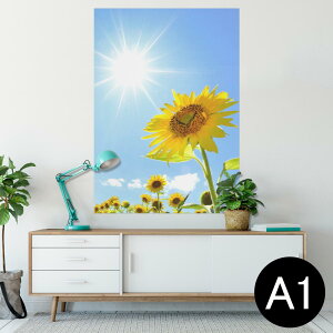 |X^[ EH[XebJ[ V[XebJ[  594×841mm A1 ʐ^ tHg  CeA  wall sticker poster 005089 Ђ܂@ʐ^@z