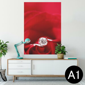 |X^[ EH[XebJ[ V[XebJ[  594×841mm A1 ʐ^ tHg  CeA  wall sticker poster 005136 ԁ@wց@KN