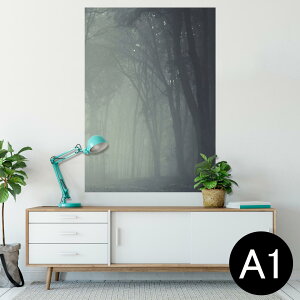 |X^[ EH[XebJ[ V[XebJ[  594×841mm A1 ʐ^ tHg  CeA  wall sticker poster 005899 ʐ^@X@