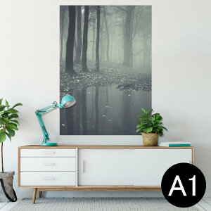 |X^[ EH[XebJ[ V[XebJ[  594×841mm A1 ʐ^ tHg  CeA  wall sticker poster 005900 ʐ^@X@