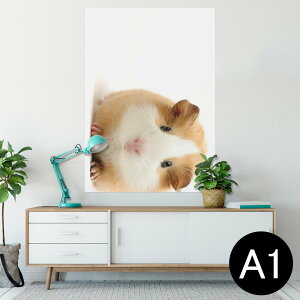 |X^[ EH[XebJ[ V[XebJ[  594×841mm A1 ʐ^ tHg  CeA  wall sticker poster 006036 Aj} ʐ^@@nX^[