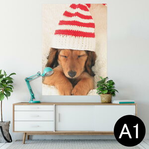 |X^[ EH[XebJ[ V[XebJ[  594×841mm A1 ʐ^ tHg  CeA  wall sticker poster 008439 ʐ^@@Xq@ԁ@bh