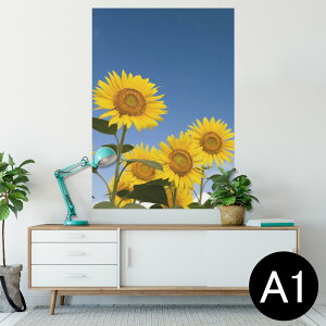 |X^[ EH[XebJ[ V[XebJ[  594×841mm A1 ʐ^ tHg  CeA  wall sticker poster 009265 @Ђ܂@ʐ^