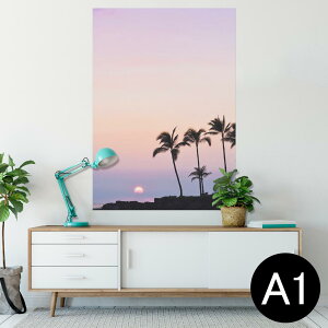 |X^[ EH[XebJ[ V[XebJ[  594×841mm A1 ʐ^ tHg  CeA  wall sticker poster 009393 i@iF@ʐ^