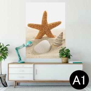 |X^[ EH[XebJ[ V[XebJ[  594×841mm A1 ʐ^ tHg  CeA  wall sticker poster 009536 Lk@C@ʐ^