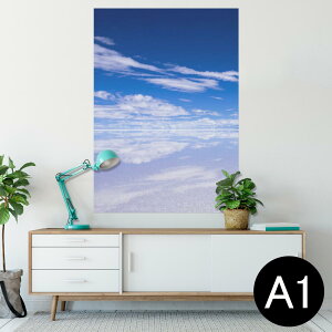 |X^[ EH[XebJ[ V[XebJ[  594×841mm A1 ʐ^ tHg  CeA  wall sticker poster 009610 i@@C@ʐ^