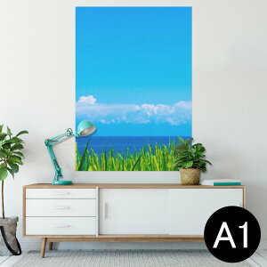 |X^[ EH[XebJ[ V[XebJ[  594×841mm A1 ʐ^ tHg  CeA  wall sticker poster 009748 i@@C@ʐ^