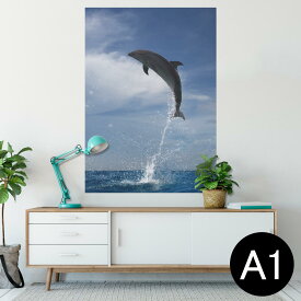 楽天市場 イルカ ポスターの通販