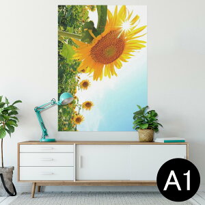 |X^[ EH[XebJ[ V[XebJ[  594×841mm A1 ʐ^ tHg  CeA  wall sticker poster 011440 ԁ@Ђ܂@ʐ^