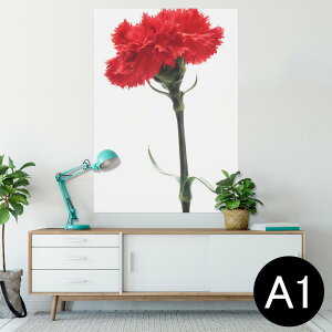 |X^[ EH[XebJ[ V[XebJ[  594×841mm A1 ʐ^ tHg  CeA  wall sticker poster 012928 ̓@J[l[V@