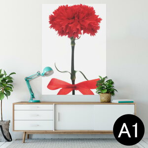 |X^[ EH[XebJ[ V[XebJ[  594×841mm A1 ʐ^ tHg  CeA  wall sticker poster 012929 ̓@J[l[V@