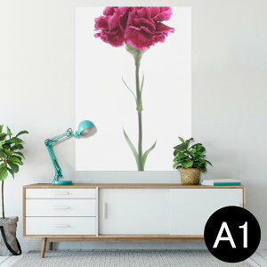 |X^[ EH[XebJ[ V[XebJ[  594×841mm A1 ʐ^ tHg  CeA  wall sticker poster 012933 ̓@J[l[V@