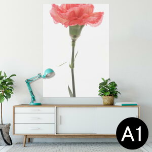 |X^[ EH[XebJ[ V[XebJ[  594×841mm A1 ʐ^ tHg  CeA  wall sticker poster 012935 ̓@J[l[V@