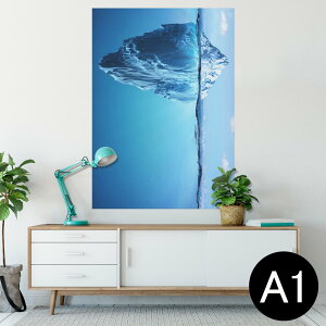 |X^[ EH[XebJ[ V[XebJ[  594×841mm A1 ʐ^ tHg  CeA  wall sticker poster 014978 iF@R@i@CXg@_@C