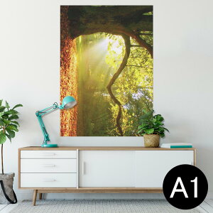 ポスター ウォールステッカー シール式ステッカー 飾り 594×841mm A1 写真 フォト 壁 インテリア おしゃれ 剥がせるwall sticker poster 014991 景色 自然 風景 写真 木 樹木