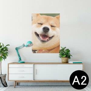 |X^[ EH[XebJ[ V[XebJ[  420×594mm A2 ʐ^ tHg  CeA   wall sticker poster 000926 @Č