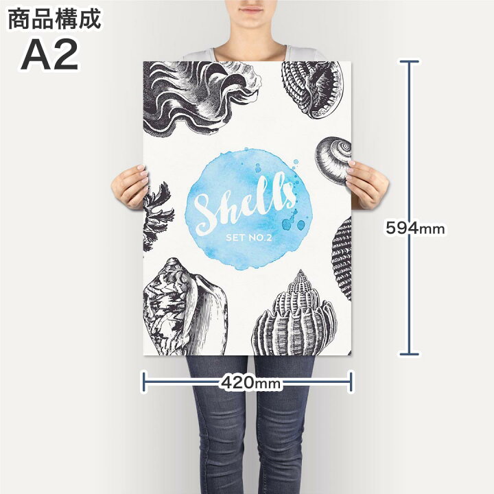楽天市場 ポスター ウォールステッカー シール式ステッカー 飾り 4 594mm 写真 フォト 壁 インテリア おしゃれ 剥がせる Wall Sticker Poster 夏 海 貝殻 Kabeコレ