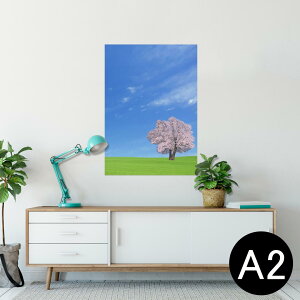 |X^[ EH[XebJ[ V[XebJ[  420×594mm A2 ʐ^ tHg  CeA   wall sticker poster 002466 iF@i@